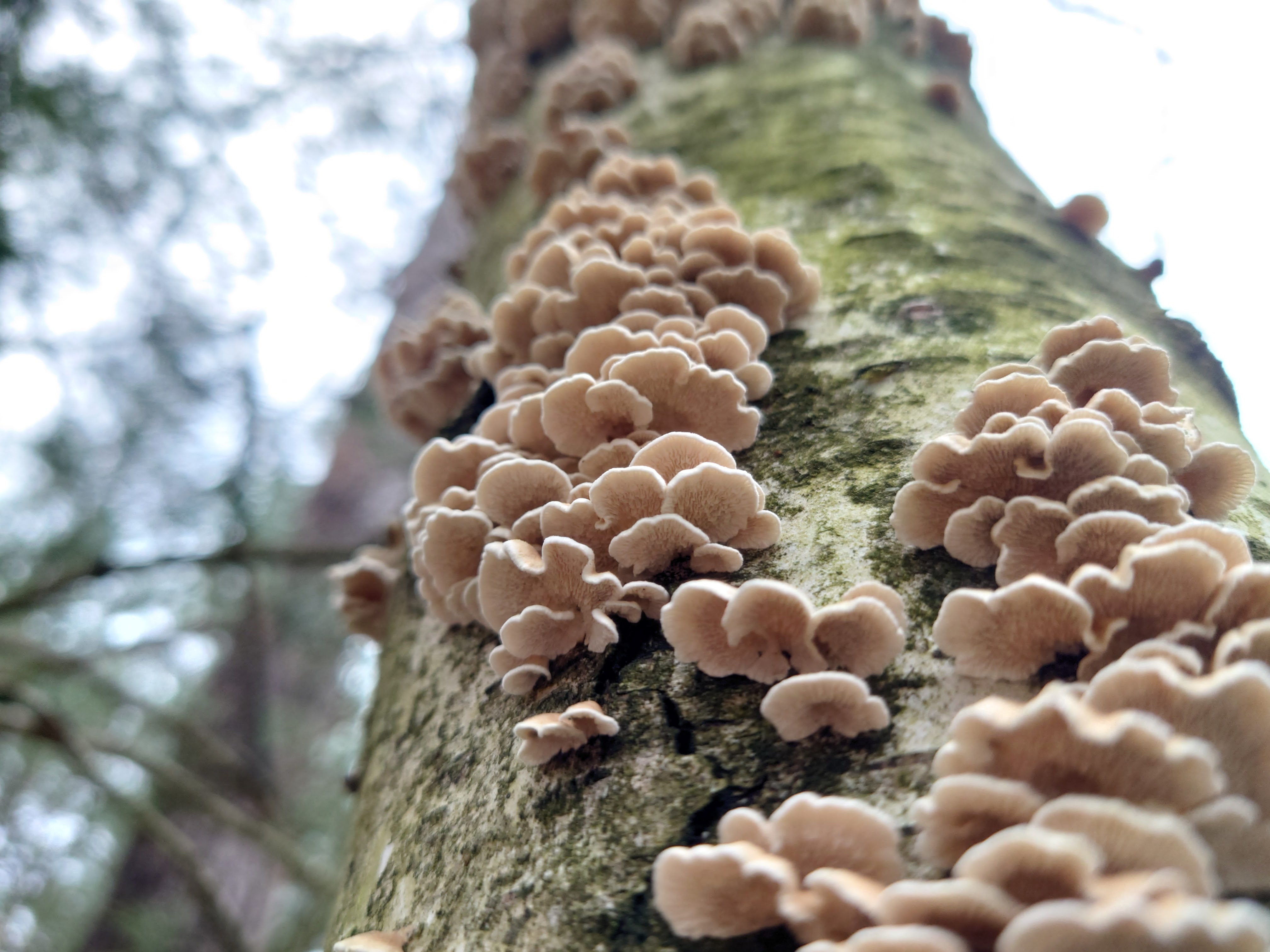 Wir sind gut vernetzt!