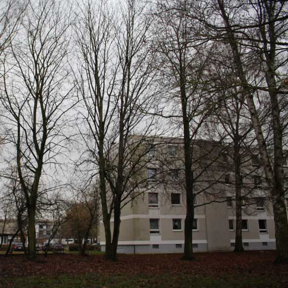 images/Referenzen/Einzelbaumgutachten_Wohnanlage_Goettingen_2021.jpg#joomlaImage://local-images/Referenzen/Einzelbaumgutachten_Wohnanlage_Goettingen_2021.jpg?width=591&height=591