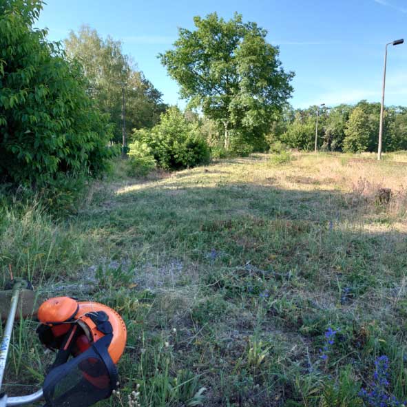 images/Referenzen/Mosaikmahd_Zauneidechsen_Ludwigsfelde_2022.jpg#joomlaImage://local-images/Referenzen/Mosaikmahd_Zauneidechsen_Ludwigsfelde_2022.jpg?width=591&height=591