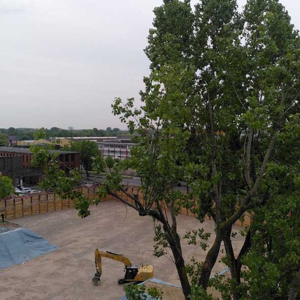 images/Referenzen/UBB_Baeume_Koeln_2022.jpg#joomlaImage://local-images/Referenzen/UBB_Baeume_Koeln_2022.jpg?width=591&height=591